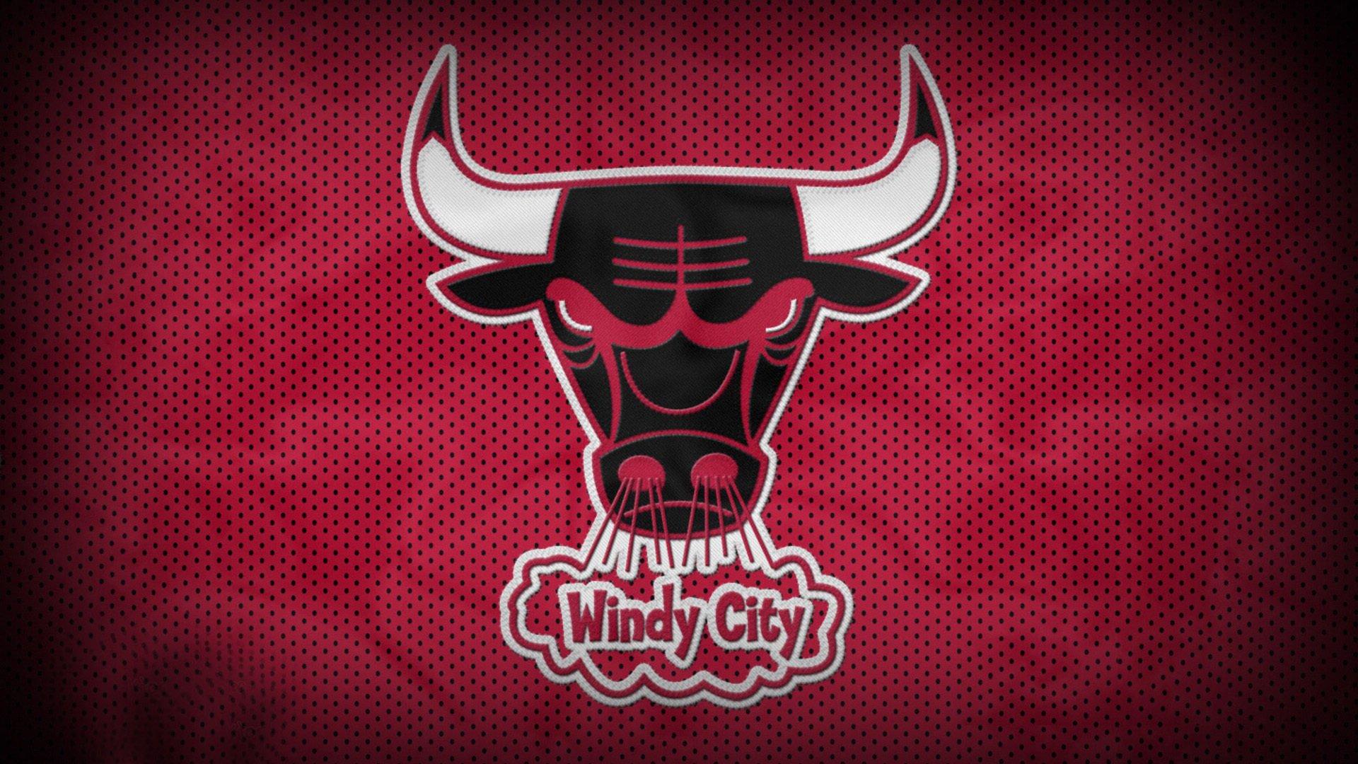 女子体育迎来新时代,全球赛事热潮与性别平等进步